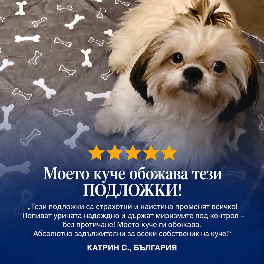 PurePad – Последната постелка за кучета, от която някога ще имате нужда